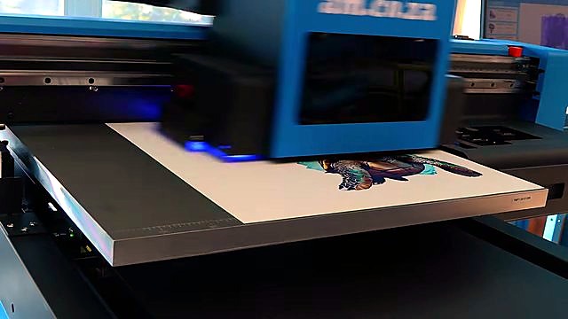 am.co.za blue carriage UV-printing turtle graphic (SKU ask)