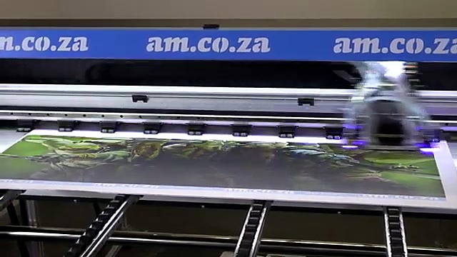 TMNT graphic half-printed on Correx (SKU ask)