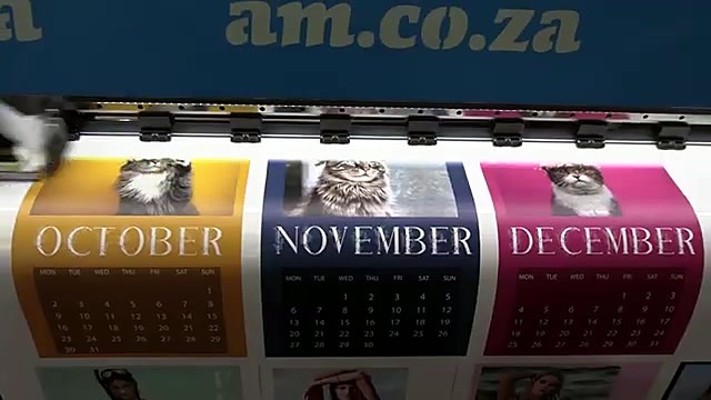 am.co.za beam over Oct–Dec cat calendars (SKU ask)
