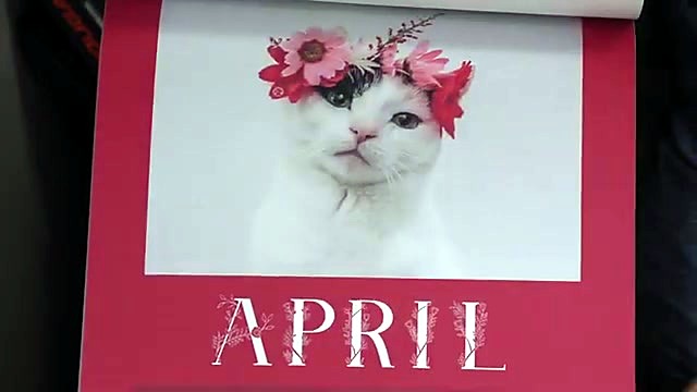 Finished APRIL cat-with-flowers calendar (SKU ask)