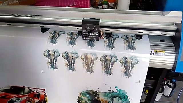 AM.CO.ZA carriage over elephant sticker row (SKU ask)
