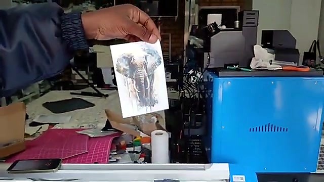 Operator holding finished elephant sticker (SKU ask)