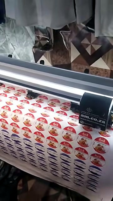 AM.CO.ZA vinyl cutter carriage over circular stickers (SKU ask)