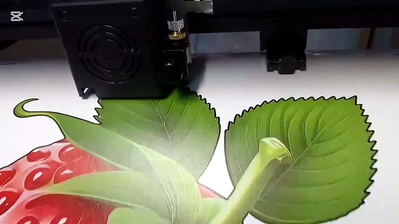 YouTube thumb — strawberry sticker (title F1-1800/UV; stills Vinyl4) (SKU ask)