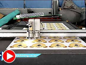 AM.CO.ZA FlatCUT