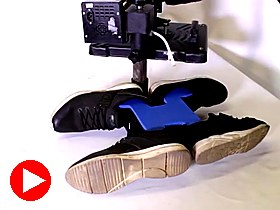 Shoe platen with sneakers