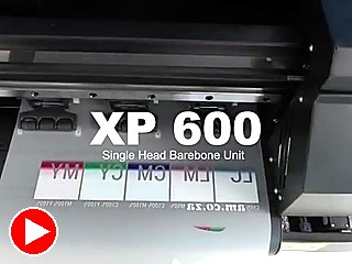 XP600 colour bars