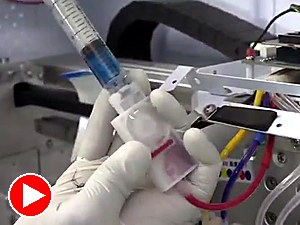 Prime damper — setup step