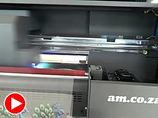 Peacock print on UV-DTF