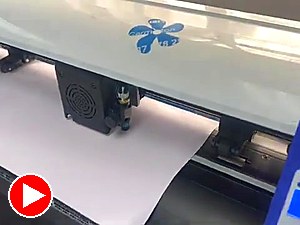Logo cut on vinyl