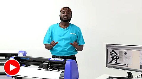 Vinyl4 body overview